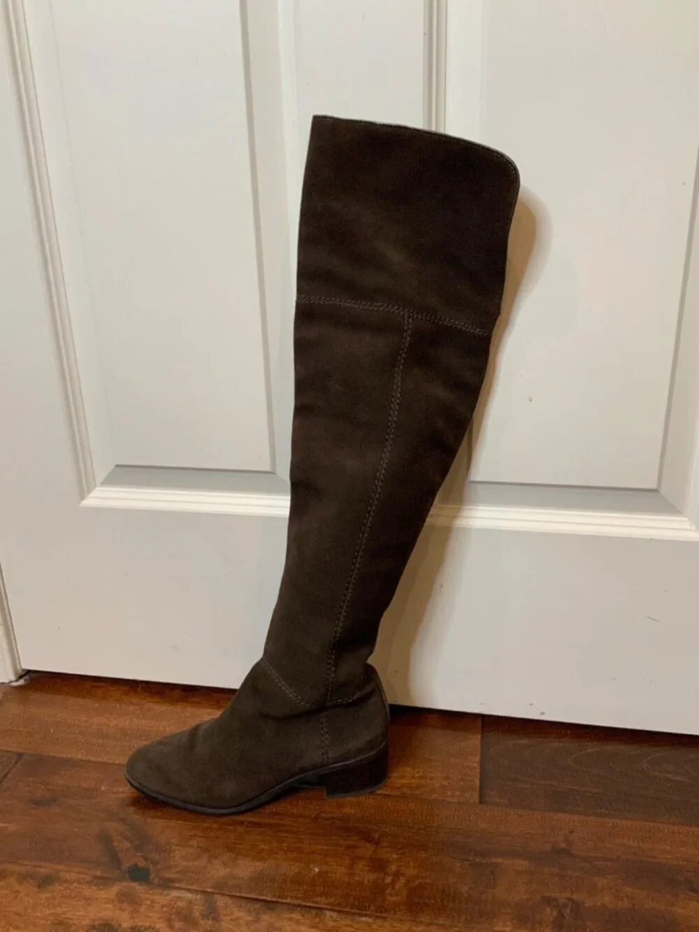 Coach Lucia Chestnut Brown Over-The-Knee Zipper Boots, Size 6